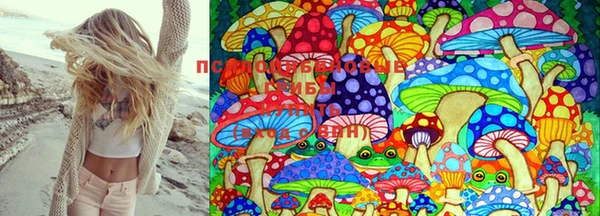 метадон Лагань