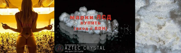 стафф Ладушкин