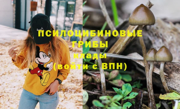 метадон Лагань