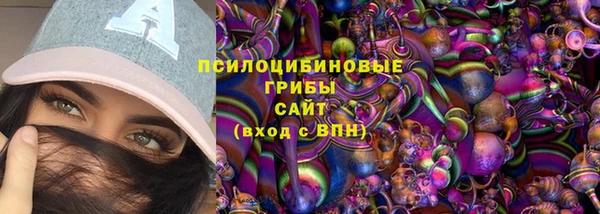 гидра Лабытнанги