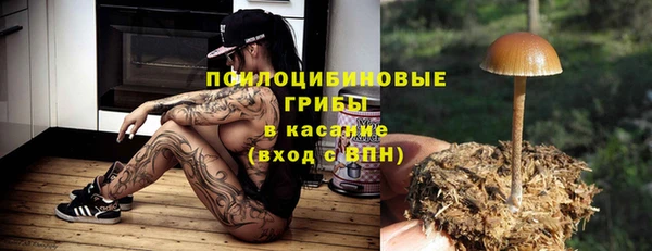 метадон Лагань