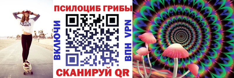 Галлюциногенные грибы Psilocybine cubensis  Екатеринбург 