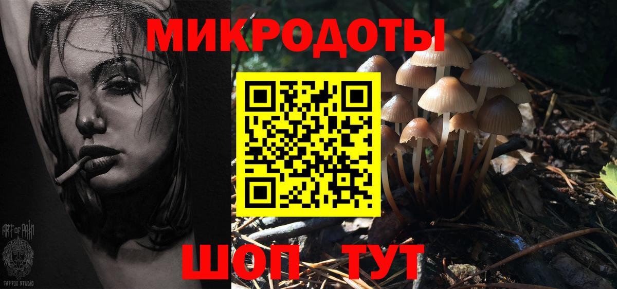 Екатеринбург  купить закладку  Галлюциногенные грибы MAGIC MUSHROOMS  Вход с VPN  Галлюциногенные грибы прущие грибы 