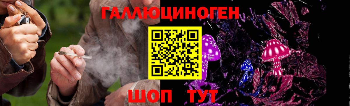 Псилоцибиновые грибы прущие грибы  Псилоцибиновые грибы GOLDEN TEACHER  Екатеринбург 